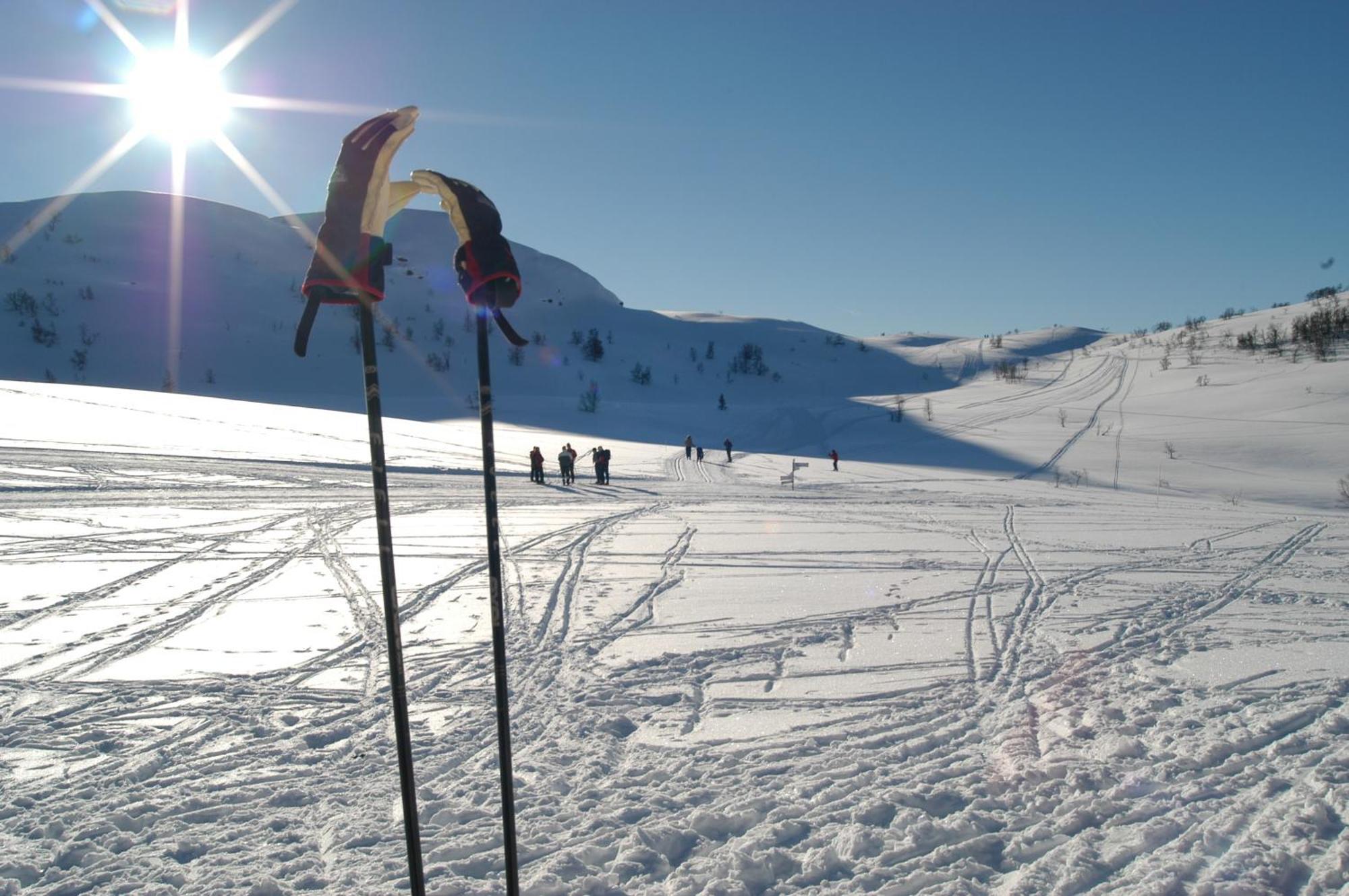Rauland Hogfjellshotell Exterior photo